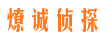 沧浪资产调查